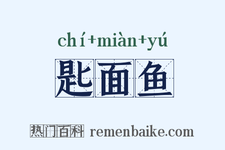 匙面鱼是什么意思的图片